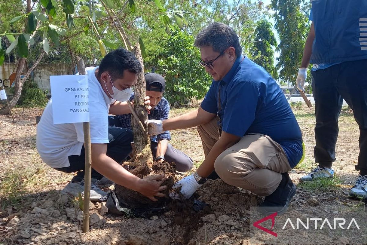 Pelindo Pangkalbalam tanam 700 pohon di Danau Wisata Pading