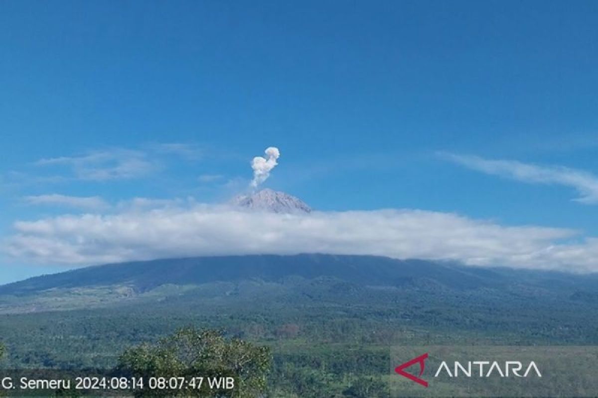 Semeru erupsi beberapa kali Rabu pagi, tinggi letusan capai 800 meter