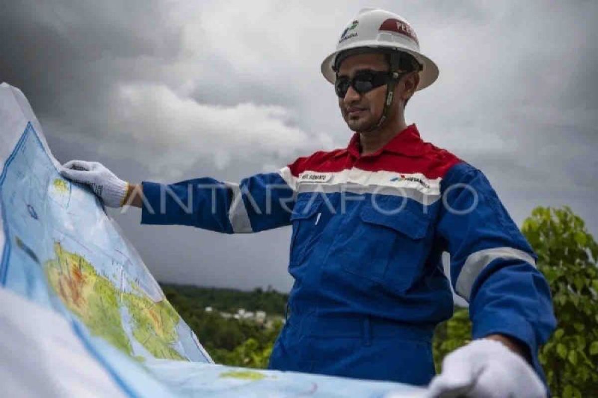 Kementerian ESDM: Hasil seismik Seram-Aru selesai digarap lebih awal