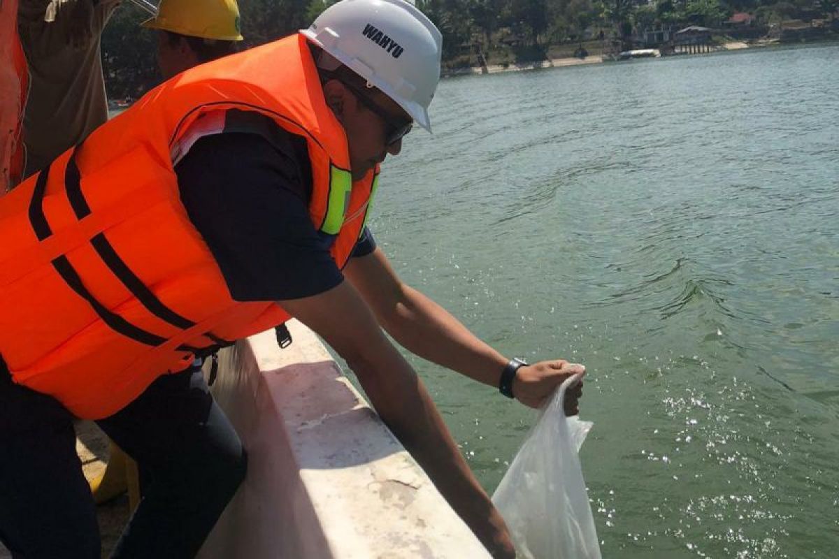 Jasa Tirta I tebar 160 ribu bibit ikan di tiga waduk