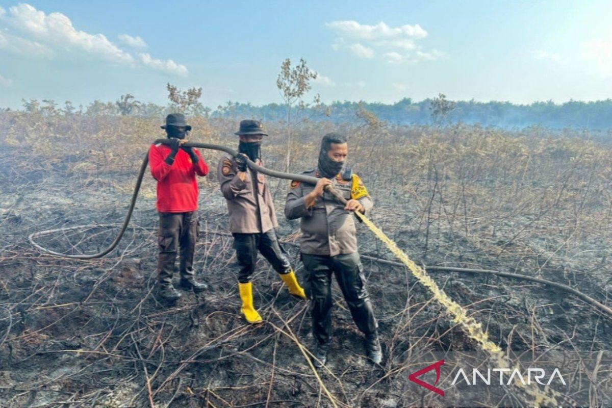 Dua tersangka pembakar lahan di Meranti ditangkap polisi