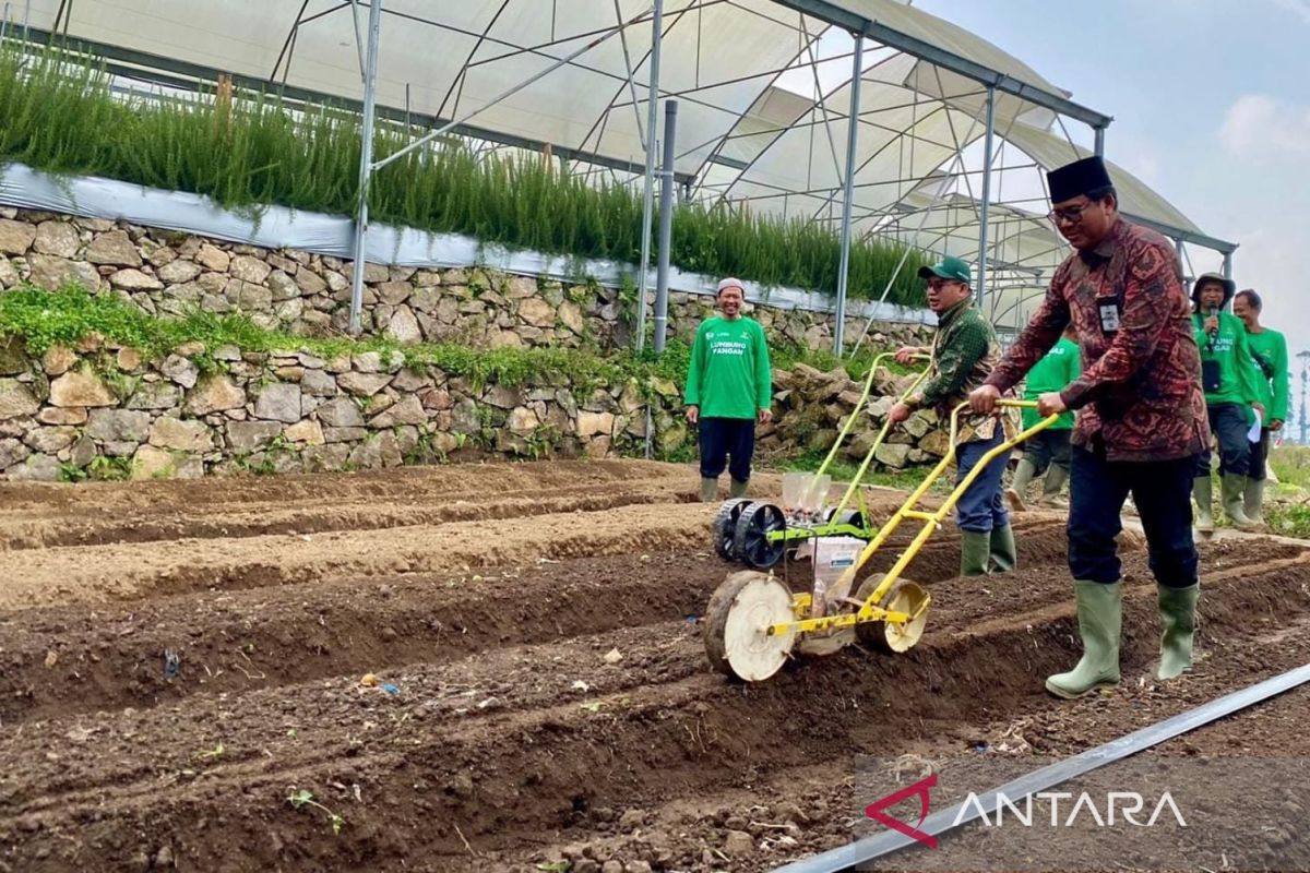 Berdayakan petani, Baznas resmikan lumbung pangan hortikultura Bandung