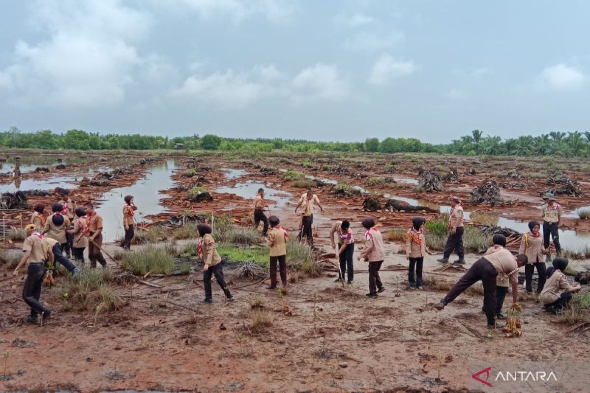 Pelajar pramuka tanam 1.000 mangrove di pesisir Aceh Tamiang