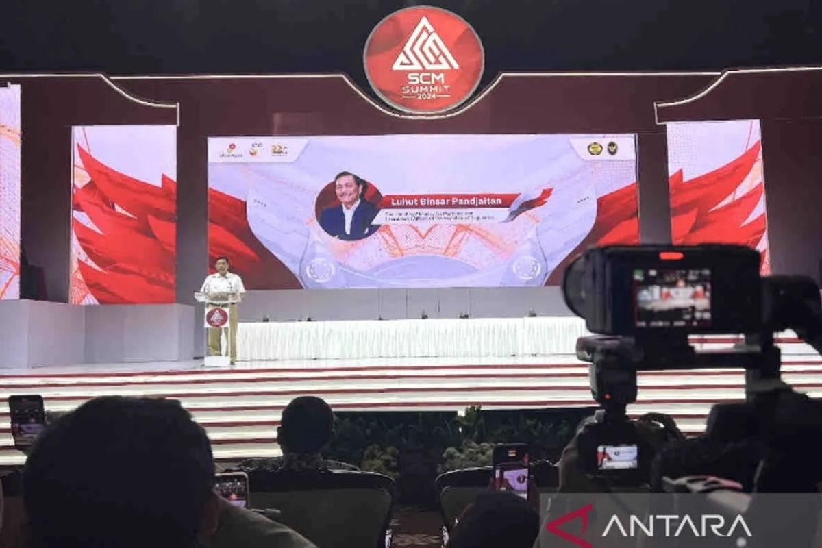 Luhut ungkap strategi pemerintah capai Indonesia Emas bidang energi