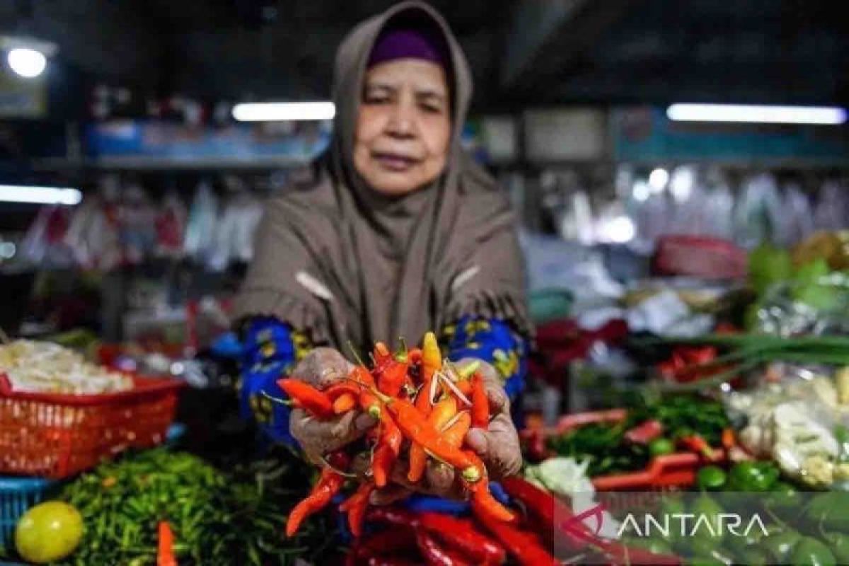 Cabai rawit merah Jumat ini naik hingga Rp10.580 menjadi Rp74.470 per kg