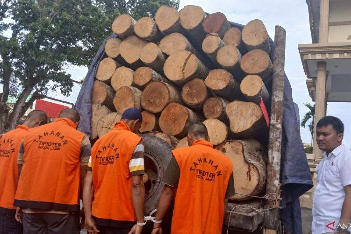 Polda Jambi selidiki tujuan pengiriman kayu hasil penebangan liar di Muaro Jambi