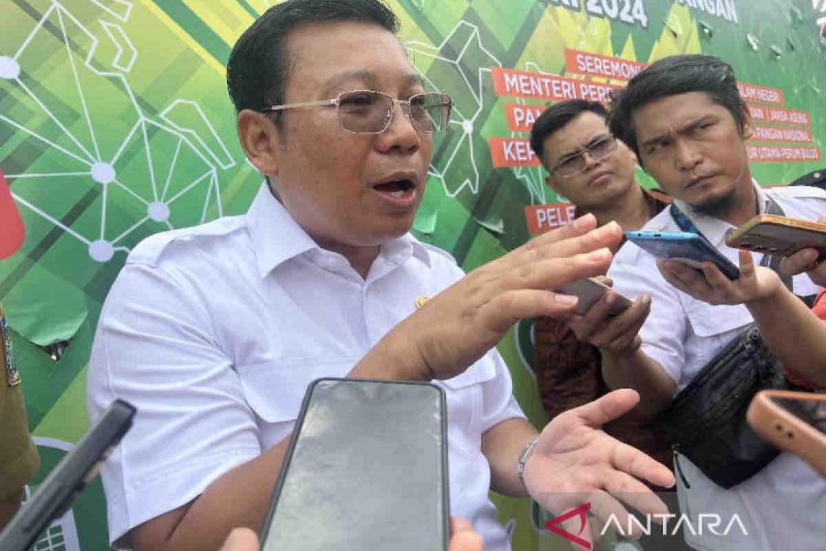 Bapanas: Peningkatan produksi dalam negeri penting cegah krisis pangan