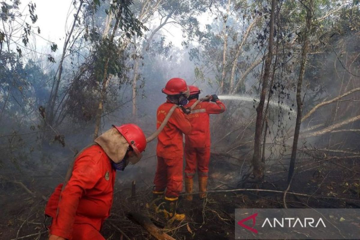 Luasan lahan terbakar di OKI diperkirakan capai 20 hektare