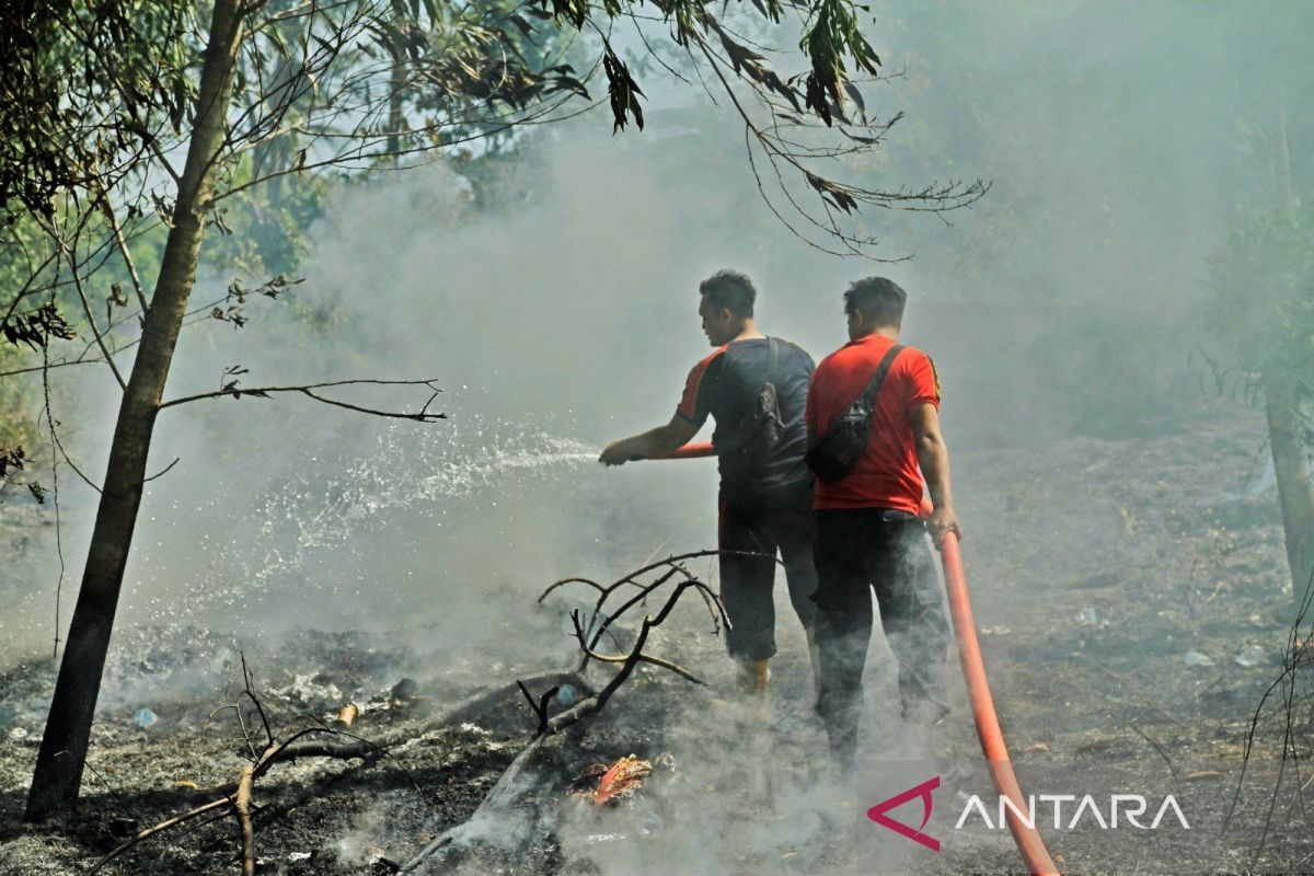 Bangka Barat kerahkan barisan relawan antisipasi karhutla