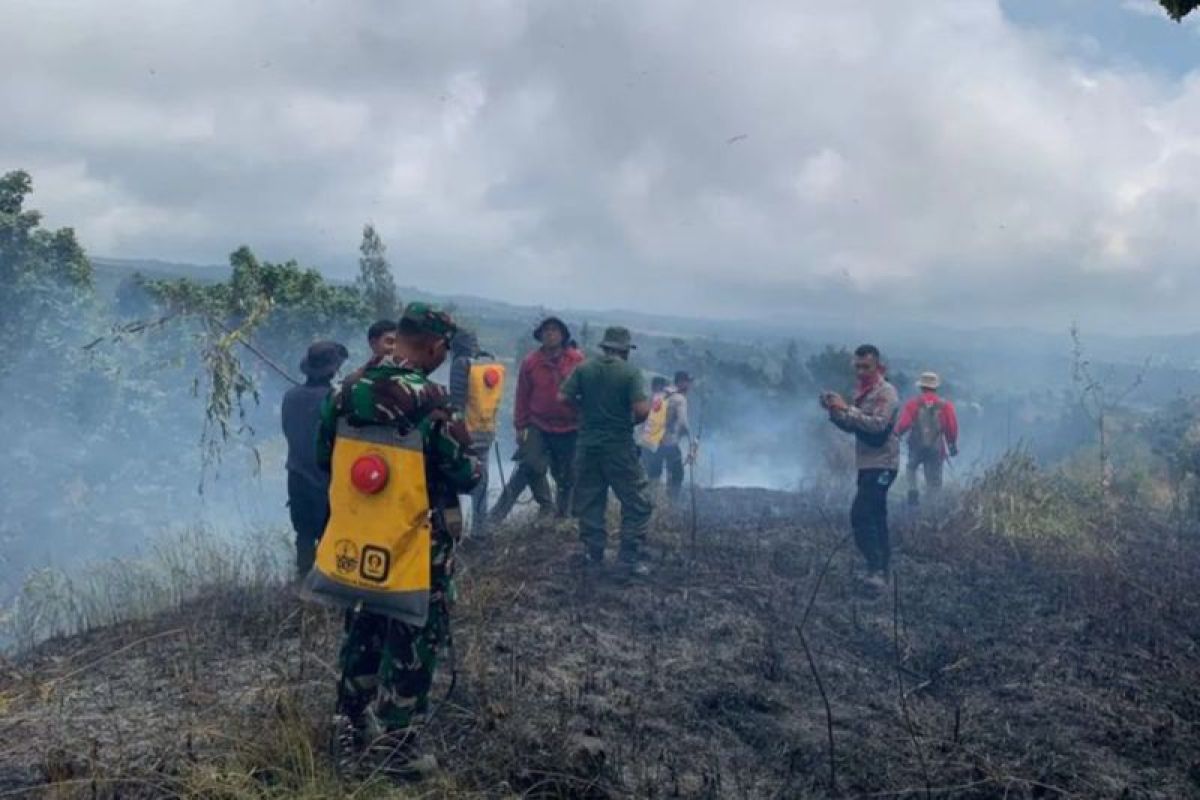 TNGR pastikan Kebakaran kawasan hutan di Gunung Rinjani padam