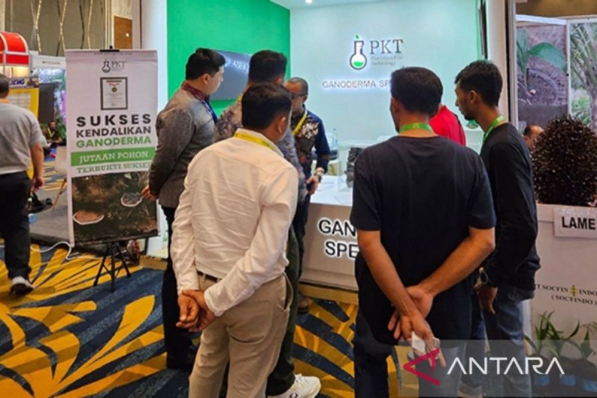 PKT tawarkan solusi atasi penyakit busuk kelapa sawit di SIEXPO