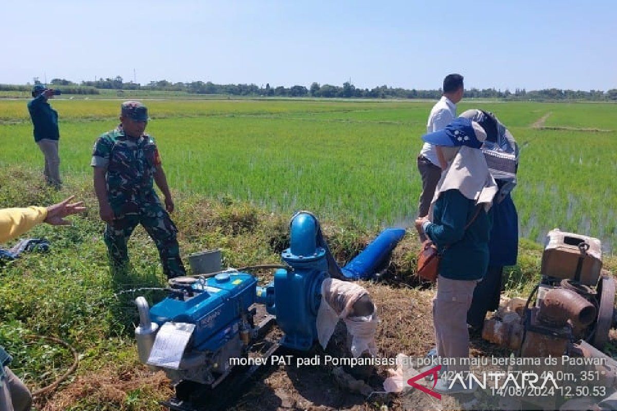 Petani di Situbondo manfaatkan Program Pompanisasi Kementan