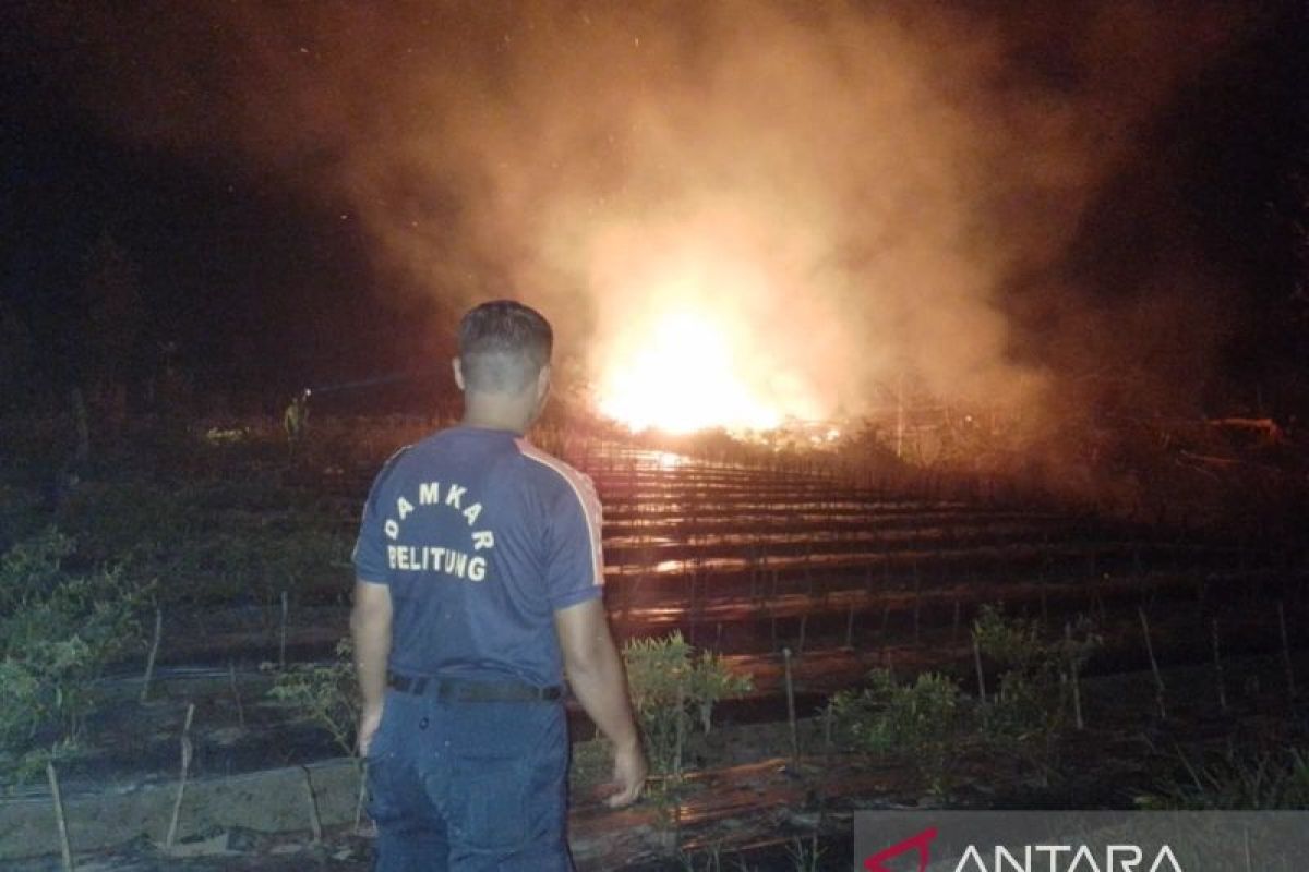 BPBD Belitung sebut tiap hari terima laporan kebakaran lahan