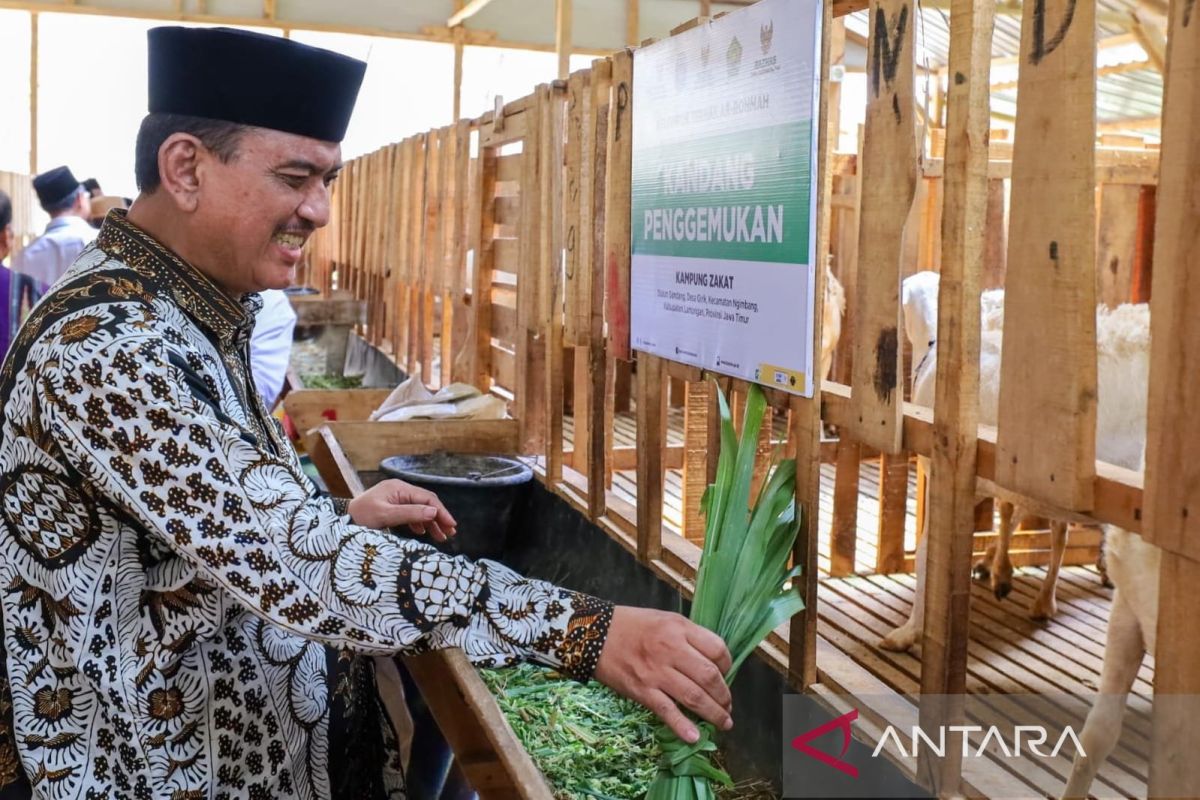 Lewat Balai Ternak, Baznas berdayakan peternak mustahik di Lamongan