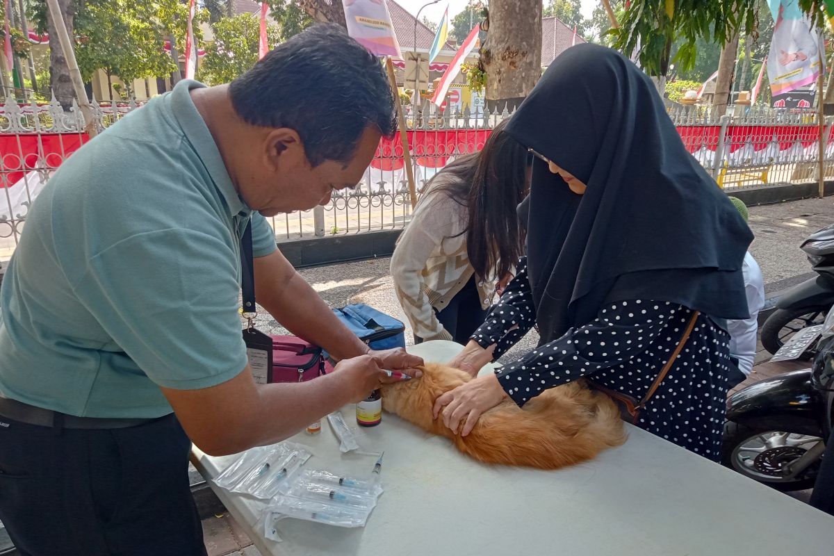 Distan Mataram gelar lomba kucing kesayangan meriahkan HUT RI