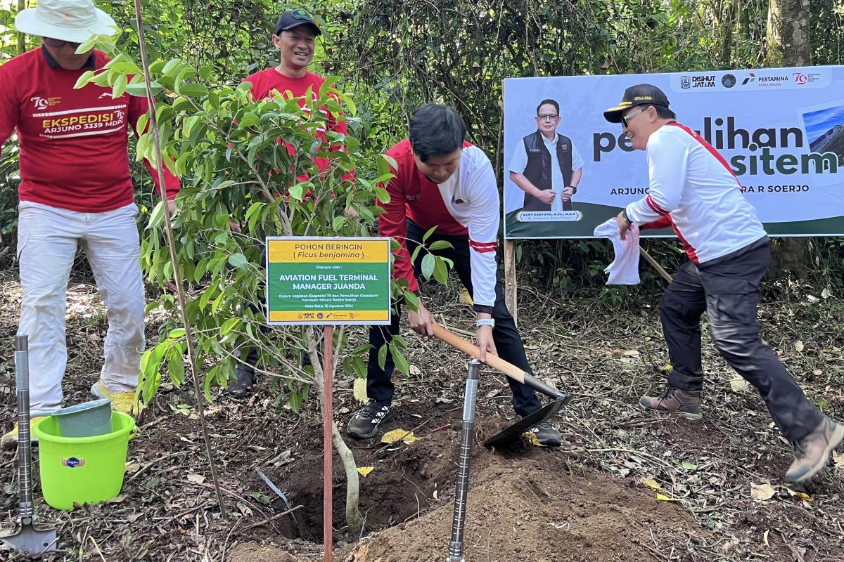 Peringati HUT ke-79 RI, Pertamina Patra Niaga hijaukan Gunung Arjuno