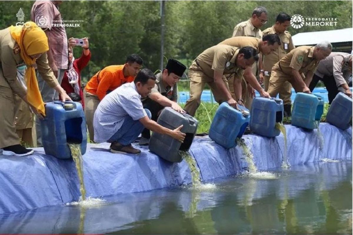 Produksi perikanan budi daya di Trenggalek capai 2.323,98 ton