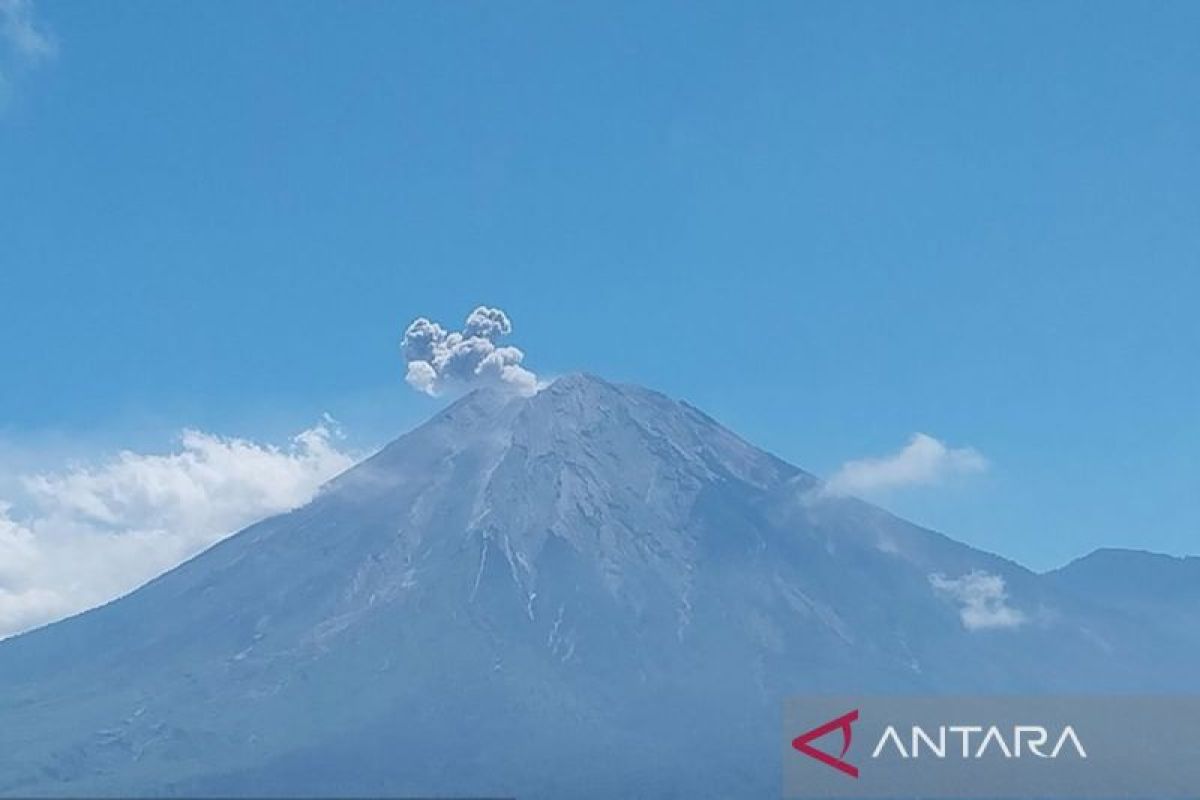 Gunung Semeru erupsi setinggi 700 meter