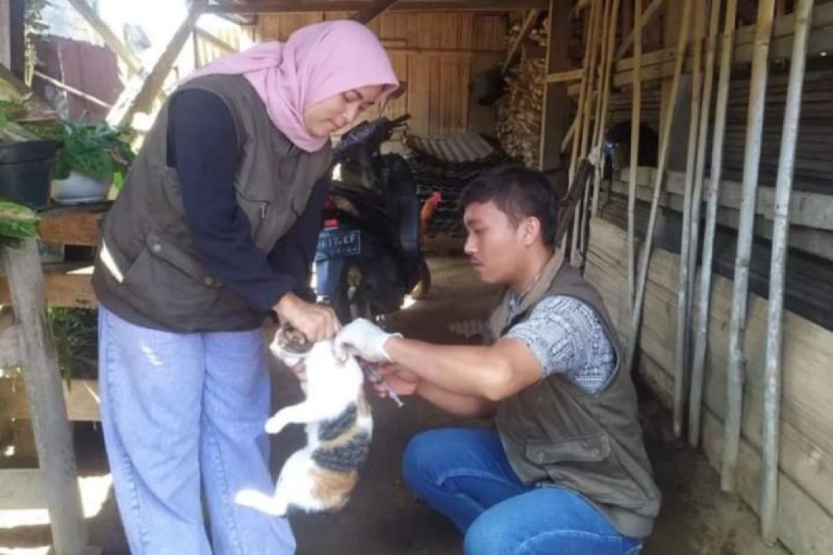 8.750 hewan penular rabies di Rejang Lebong telah divaksinasi