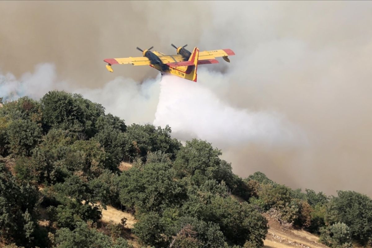 Jutaan hektare hutan terbakar, ribuan orang mengungsi