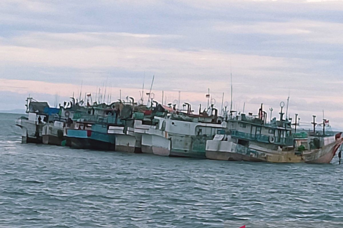 KKP berencana jadikan perairan Biak tempat penggemukan ikan tuna