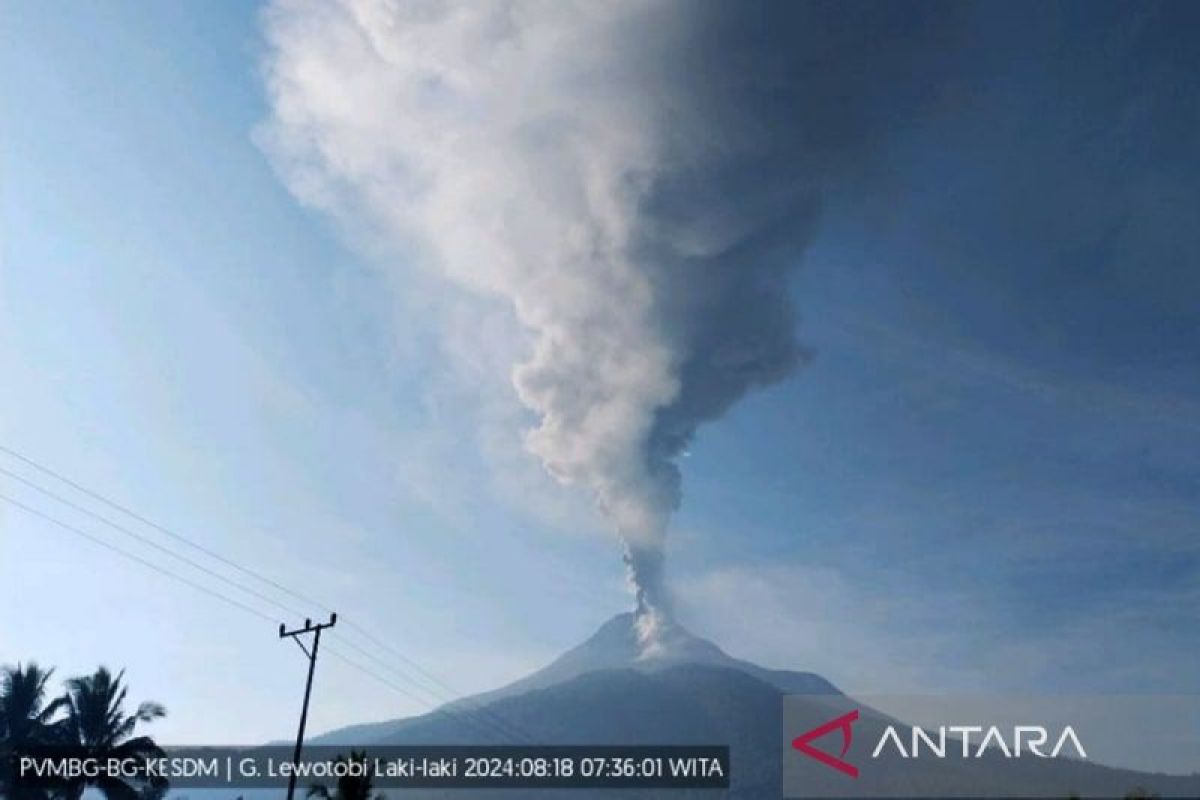 PPG: Gunung Lewotobi Laki-laki erupsi setinggi 1.200 meter