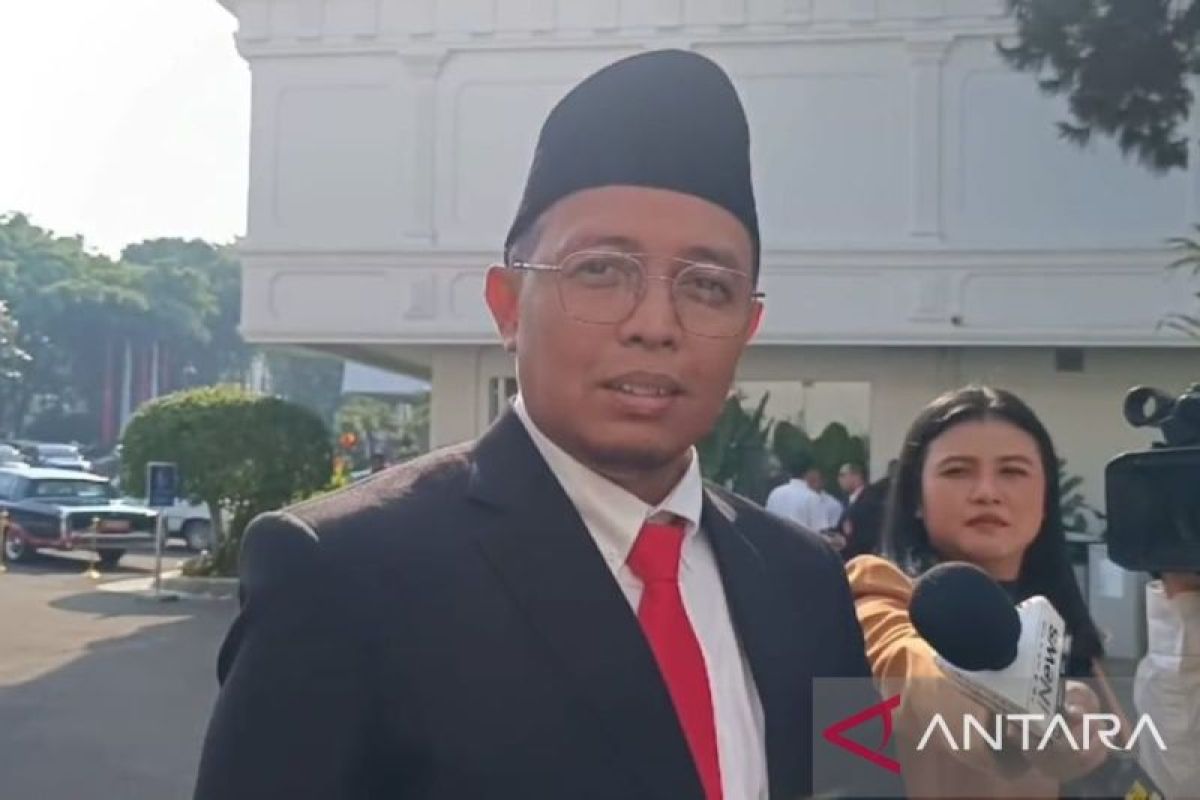 Hasan Nasbi siap bekerja di sisa masa pemerintahan Presiden Jokowi