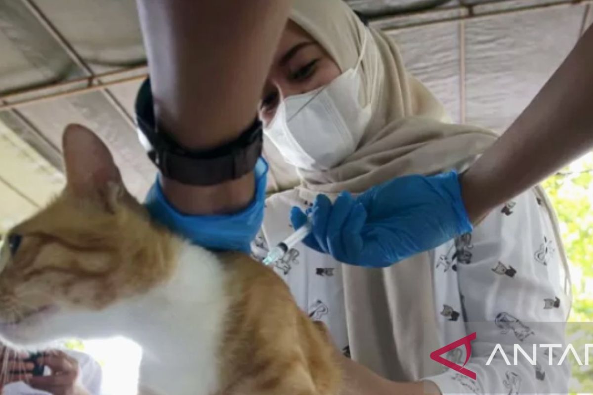 Ribuan kucing dan anjing di Purwakarta divaksin guna cegah rabies