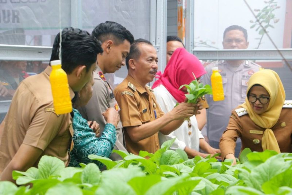 Panen perdana budidaya hidroponik, Wali Kota Pematangsiantar sebut kemandirian