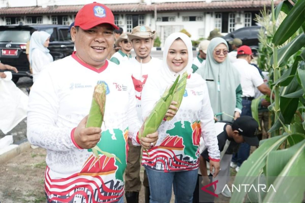 Pemkab Bangka menggerakkan program gemar menanam