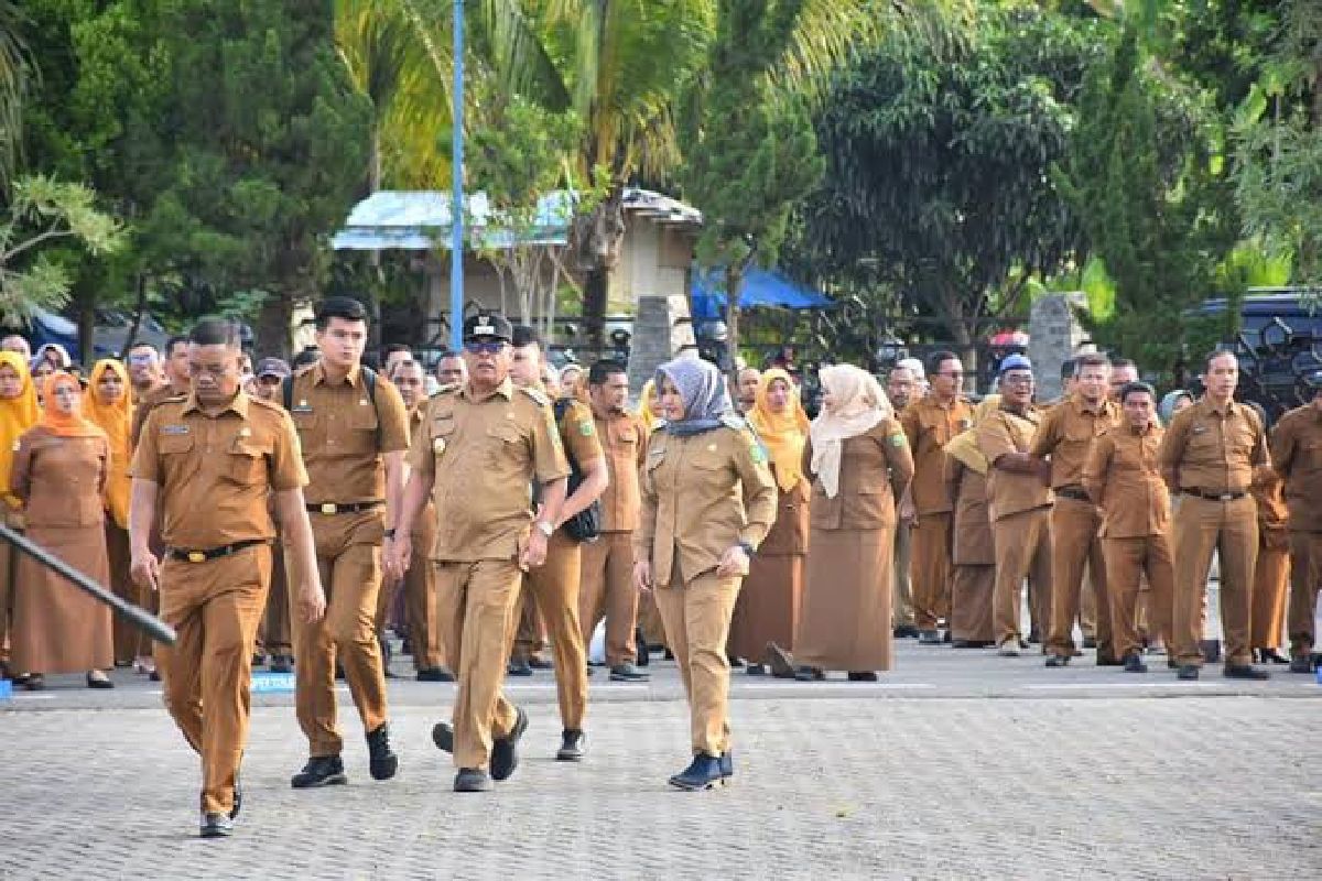 Ayo daftar, Pemkab Madina buka pendaftaran 422 formasi CPNS  2024