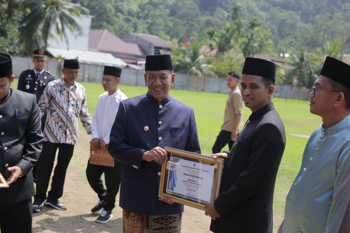 Bupati Pesisir Selatan berikan Penghargaan PIP kepada Perangkat Daerah