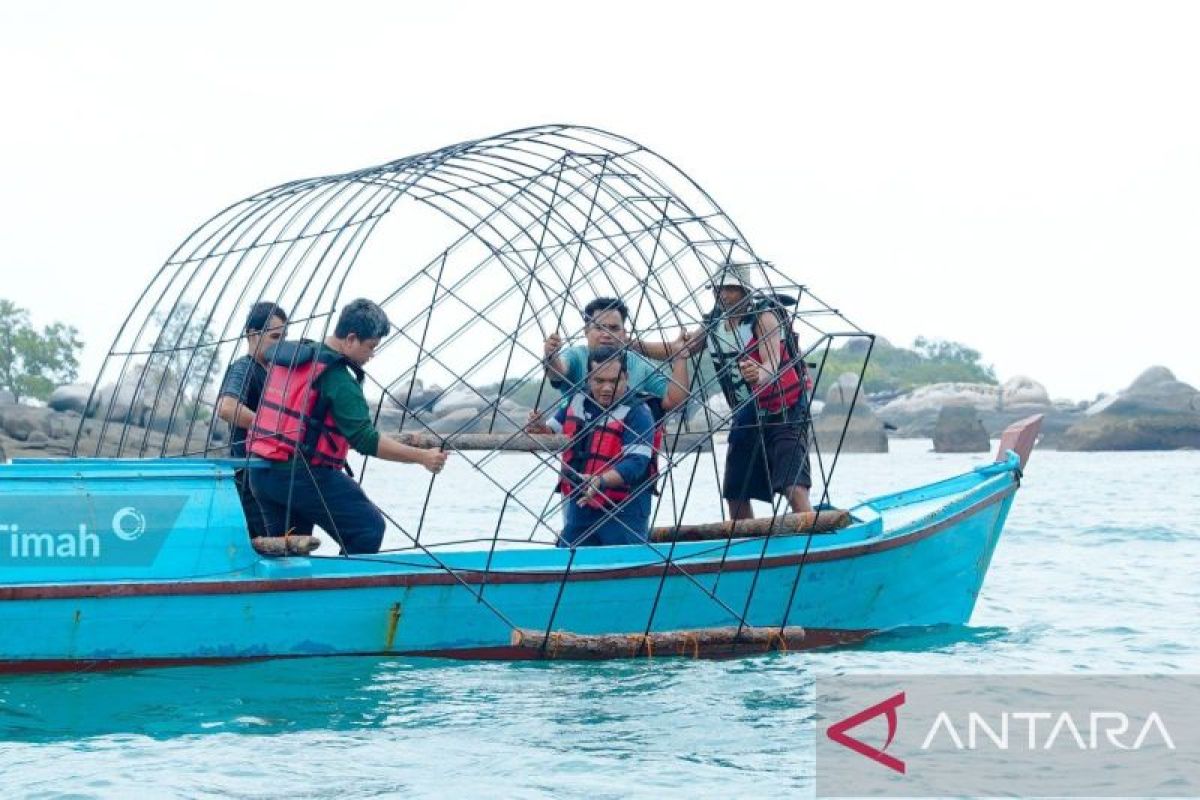 PT Timah tenggelamkan 37 coral garden di Pulau Putri