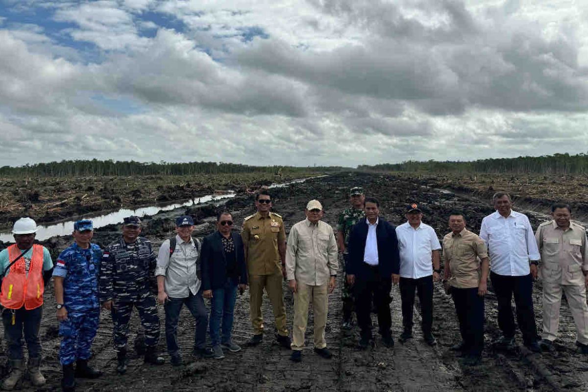 Mentan: Pertanian di Merauke langkah menuju lumbung pangan dunia