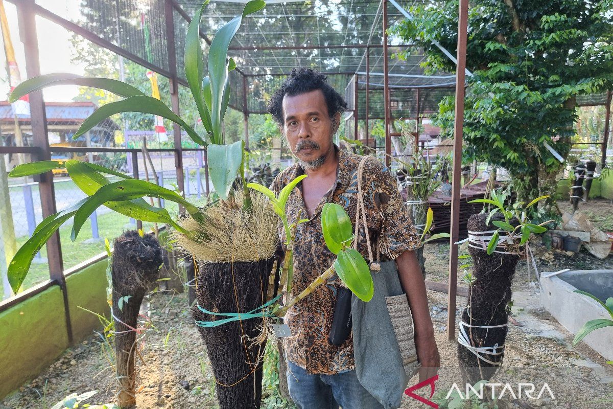 Puslit-Fakultas Kehutanan Unipa budidayakan 170 jenis anggrek