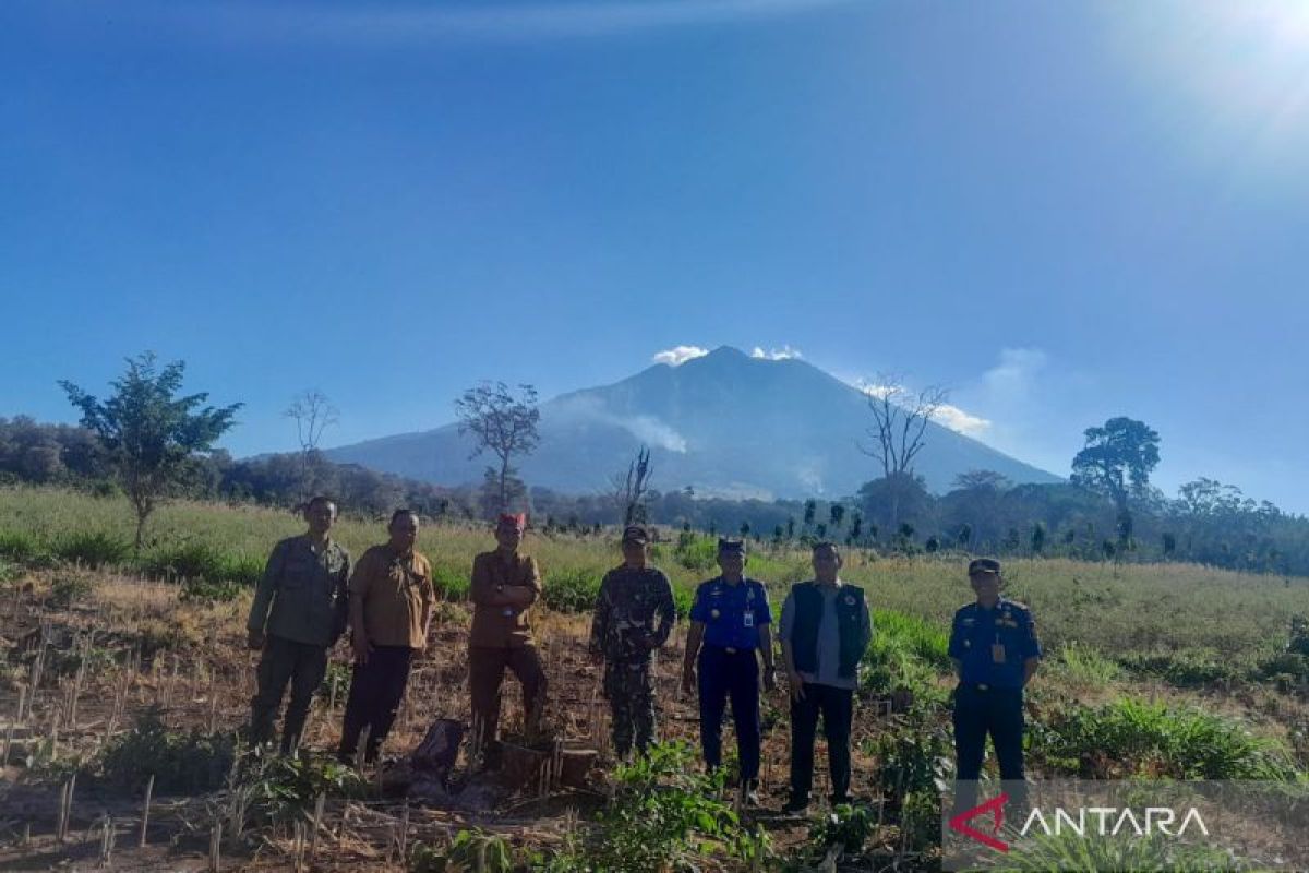 BPBD Banyuwangi pantau kebakaran hutan Gunung  Merapi Ungup-Ungup