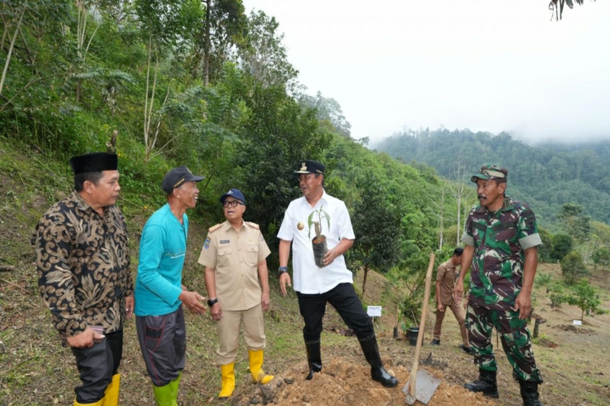 Pemprov Sulbar alokasikan anggaran pengadaan satu juta bibit durian