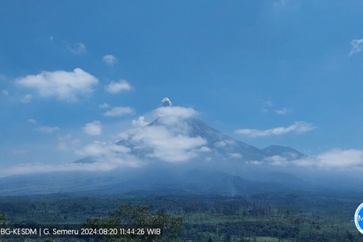 Letusan Gunung Semeru teramati sekitar 700 meter di atas puncak