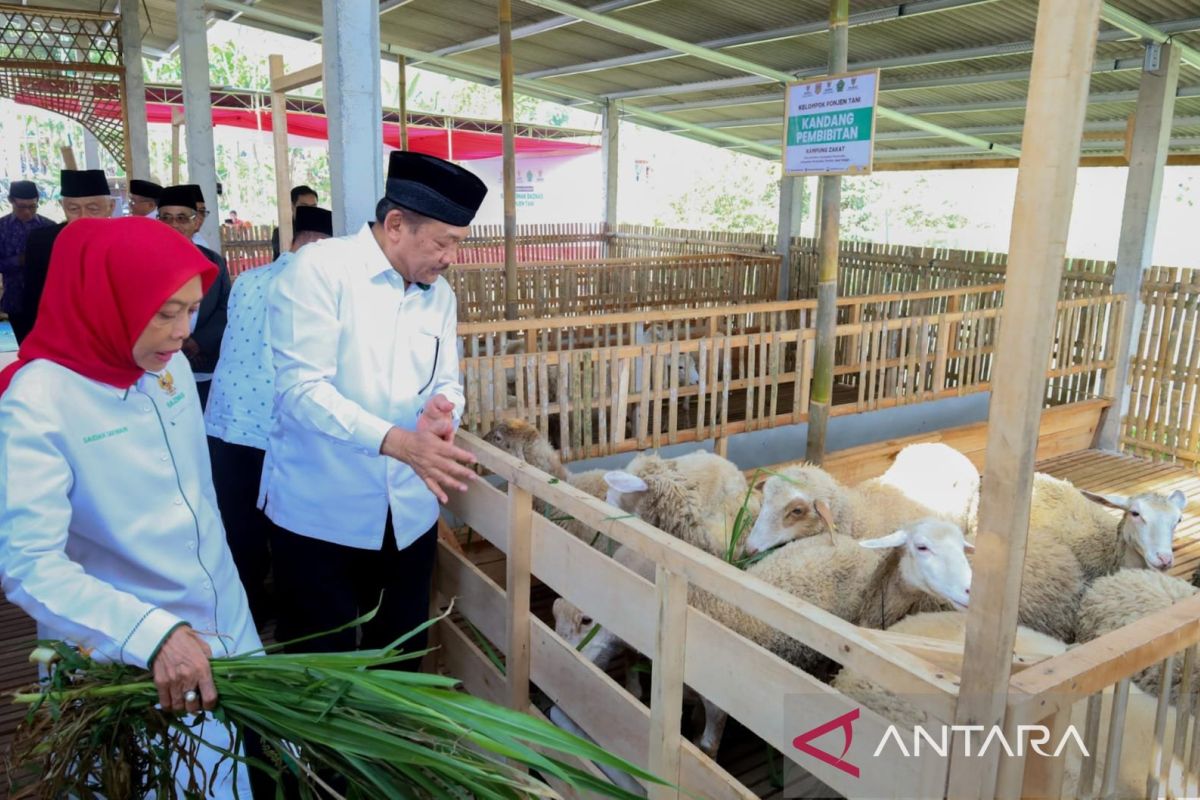 Baznas berdayakan peternak mustahik di Wonosobo