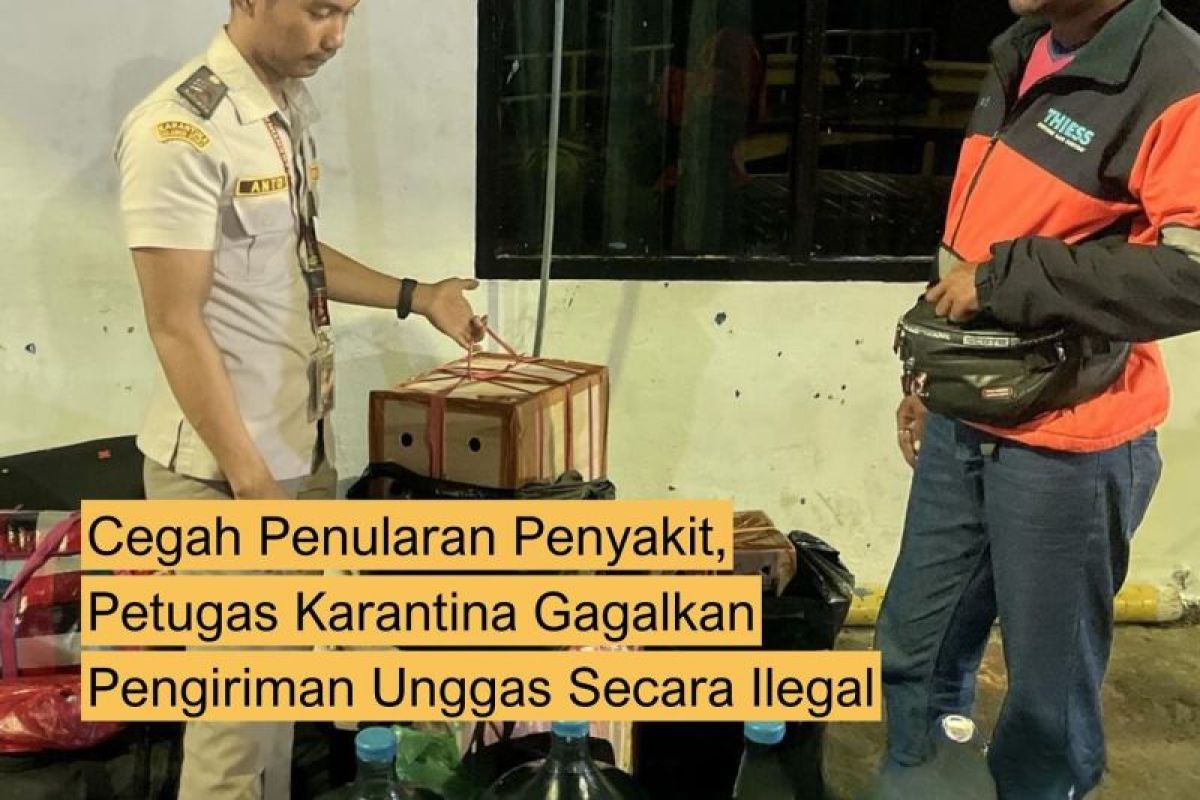 Balai Karantina Sulut gagalkan pengiriman unggas cegah ancaman penyakit