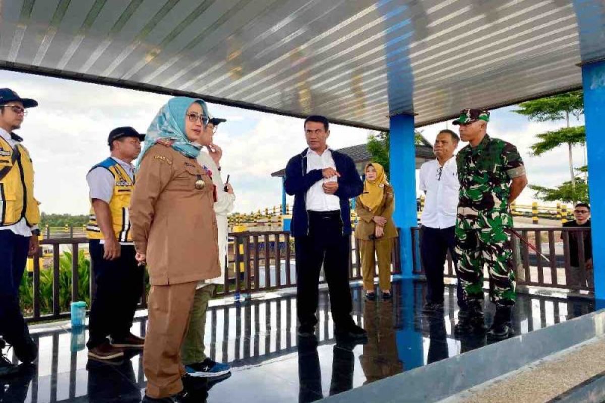 Mentan bidik cetak sawah 500.000 Ha di bekas lahan gambut Kalteng