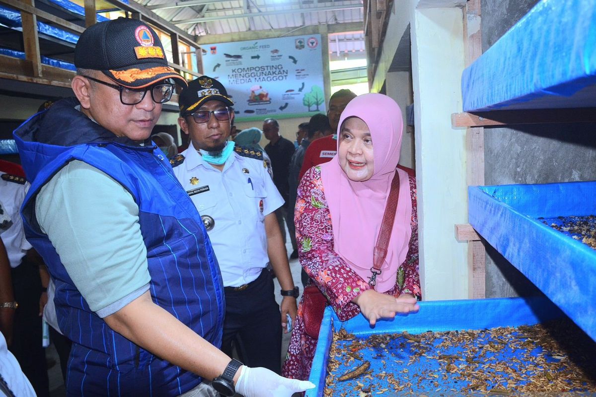 Pj Wali Kota Padang: Budi daya maggot peluang ekonomi bagi masyarakat