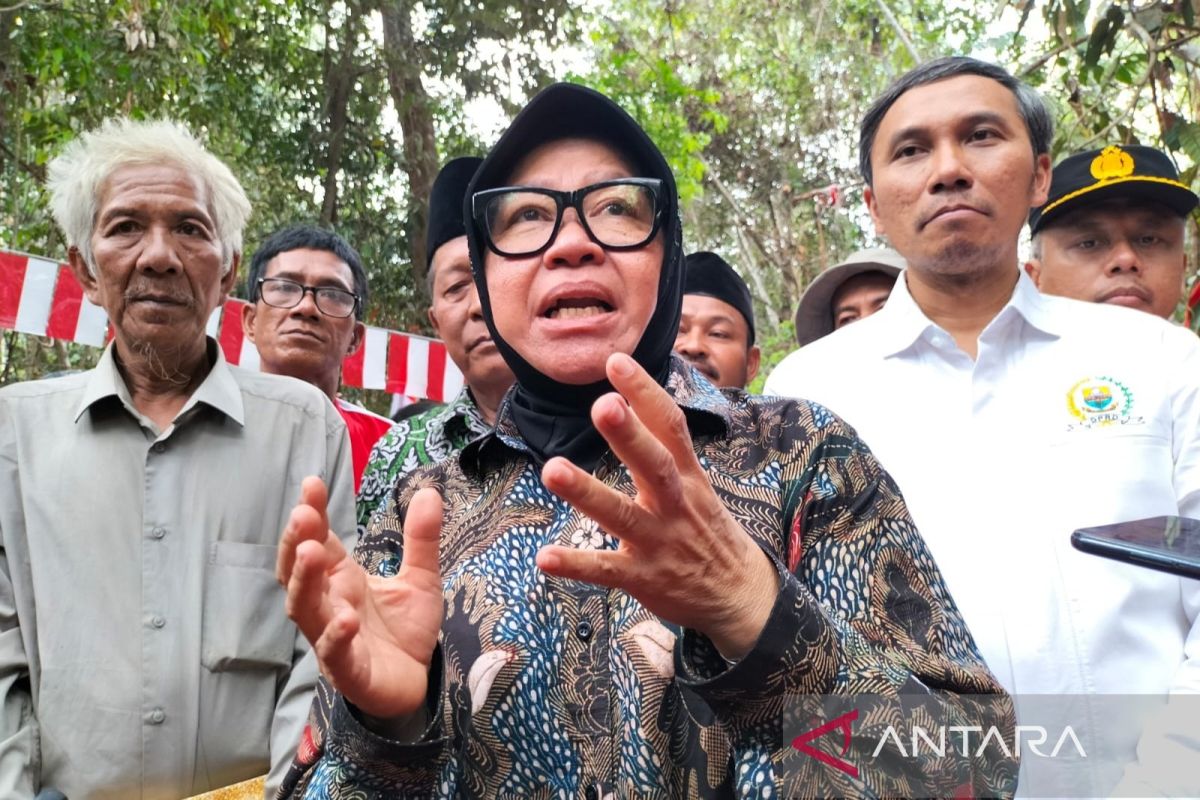 DPP PDIP konfirmasi akan usung Risma di Pilkada Jatim 2024