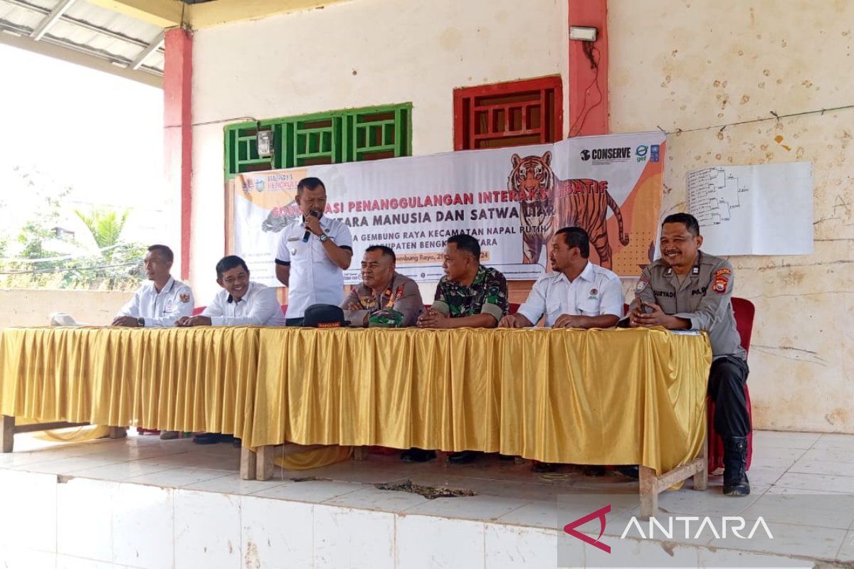 BKSDA sosialisasikan penanganan harimau di Bengkulu Utara