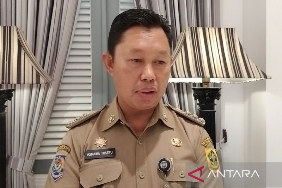 Pj Bupati Bogor: Pembangunan kereta layang di kawasan Puncak pakai skema bisnis