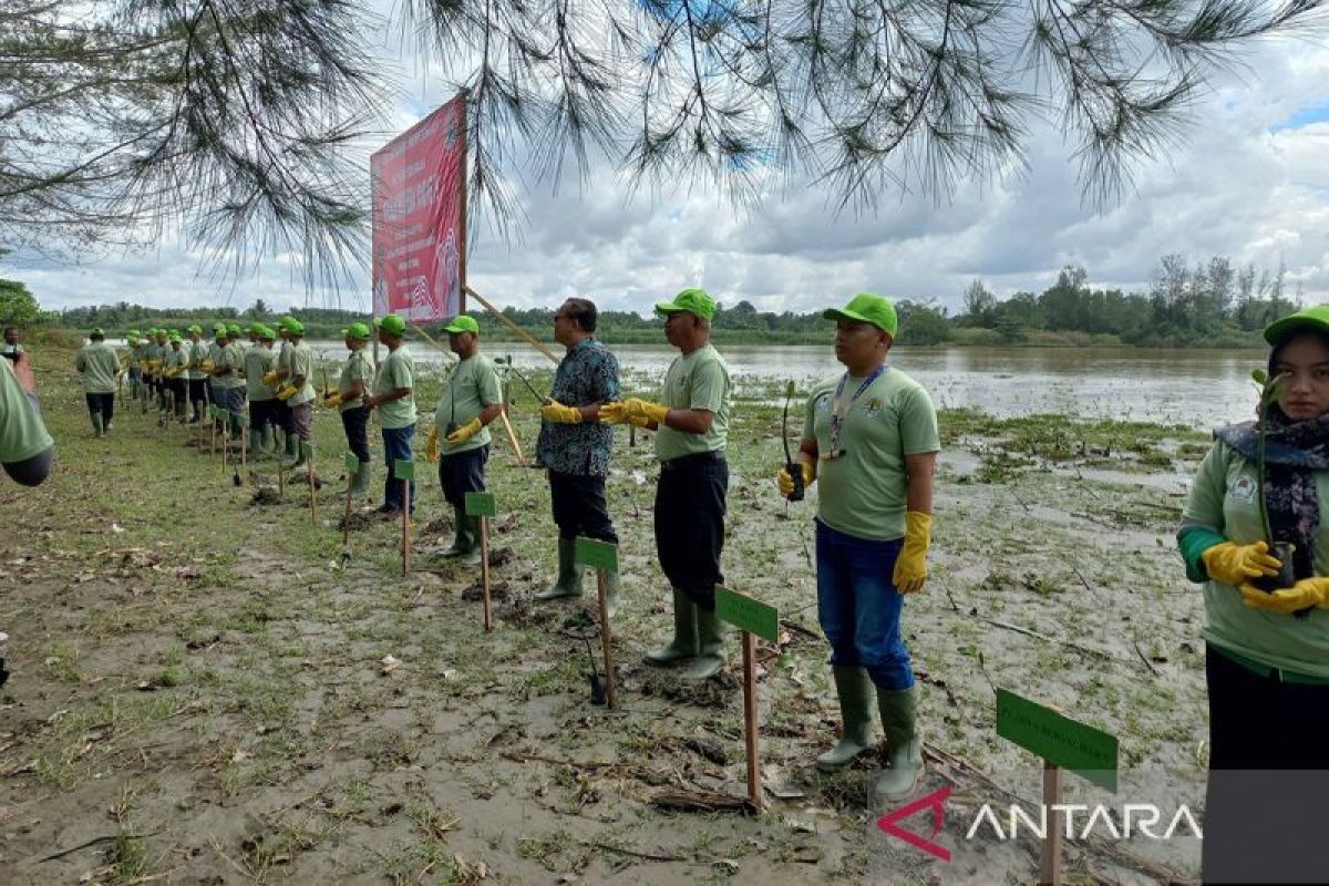 Rehabilitasi mangrove, andalan program konservasiAstraAgro di Aceh