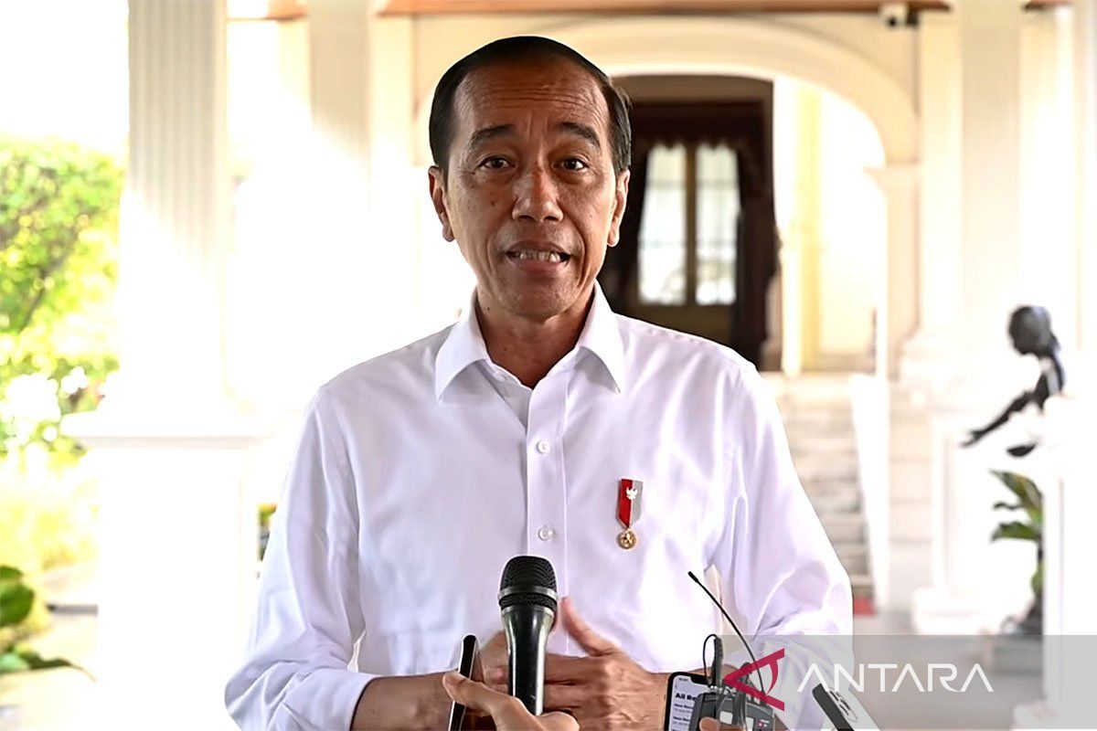 Presiden Jokowi hormati putusan MK dan DPR soal syarat calon kepala daerah