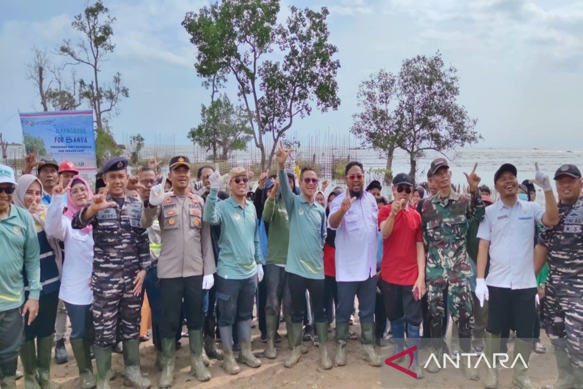 Kotabaru Secretary leads planting of 24 thousand mangrove