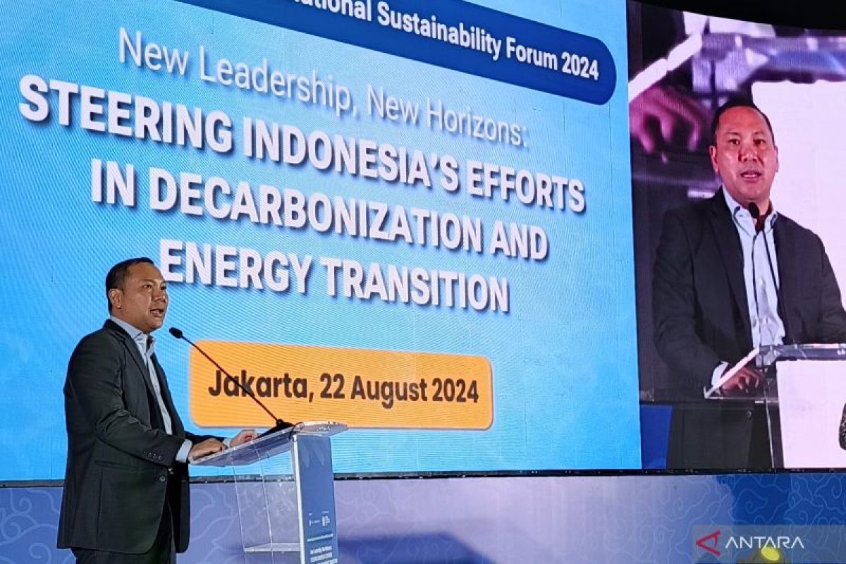 Indonesia needs energy transition in almost all sectors: Ministry