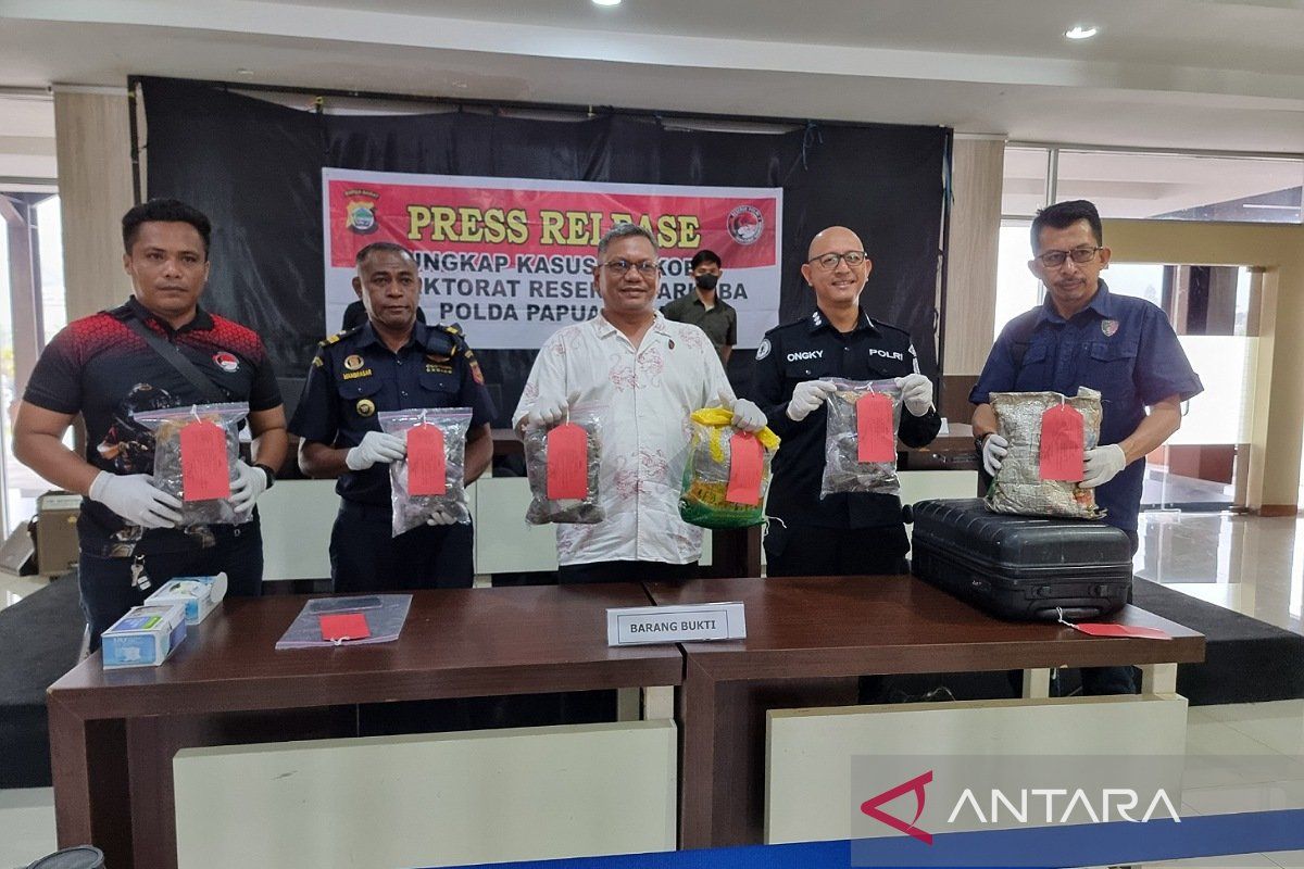 Polda tangkap pengedar ganja 2,8 kilogram di Pelabuhan Manokwari